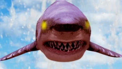 Shark Exorcist