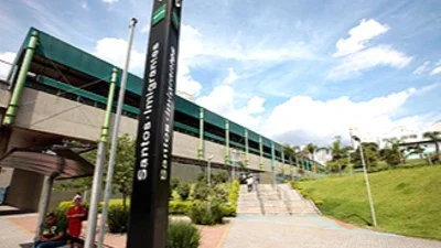 Santos-Imigrantes: 15 mil