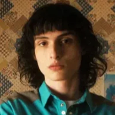 Finn Wolfhard (@finnwolfhardofficial) - posts 22,3 milhões de seguidores
